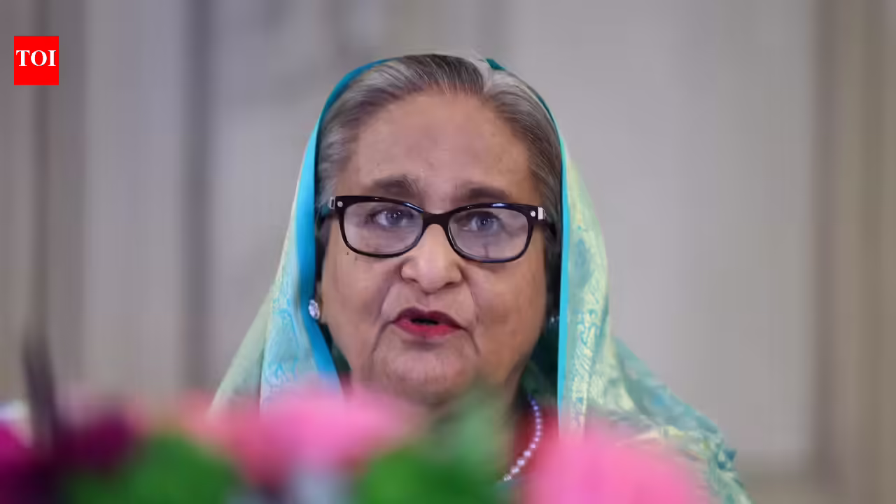Sheikh Hasina: Could get arrested or killed however will return to Bangladesh by December