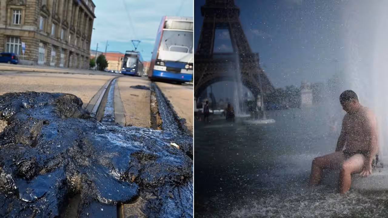 Europe loss of life toll tops 10,000 throughout late-June heatwave; scientists blame human-caused local weather change