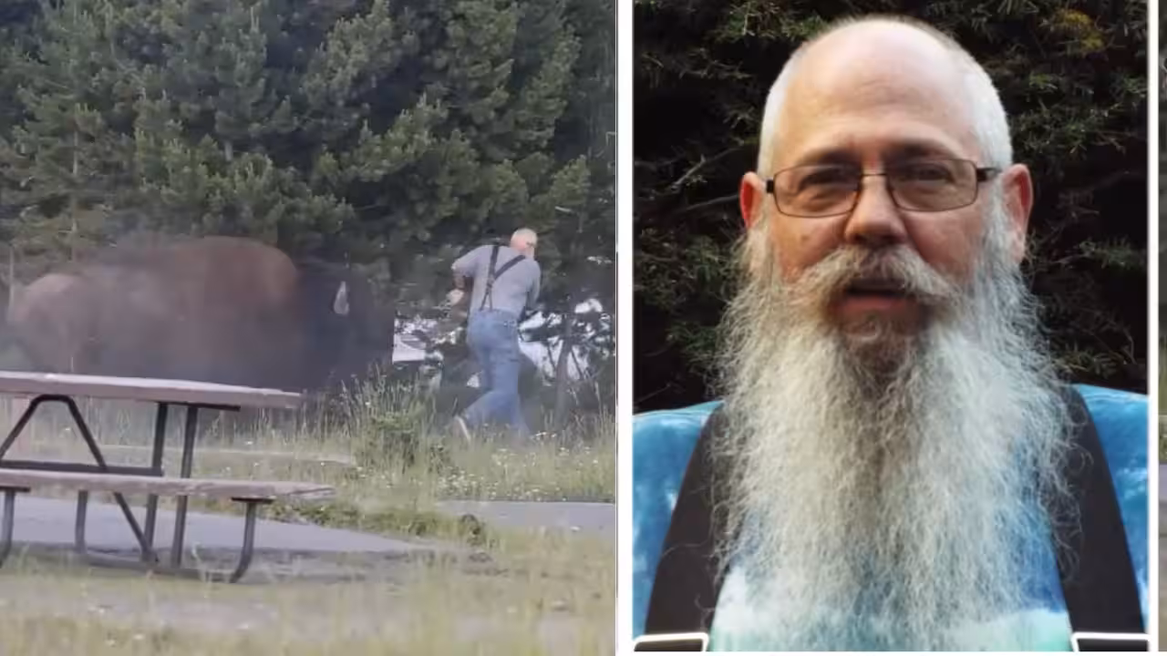65-year-old grandfather attacked by a Yellowstone bison was cracking jokes regardless of breaking a number of bones | World Information