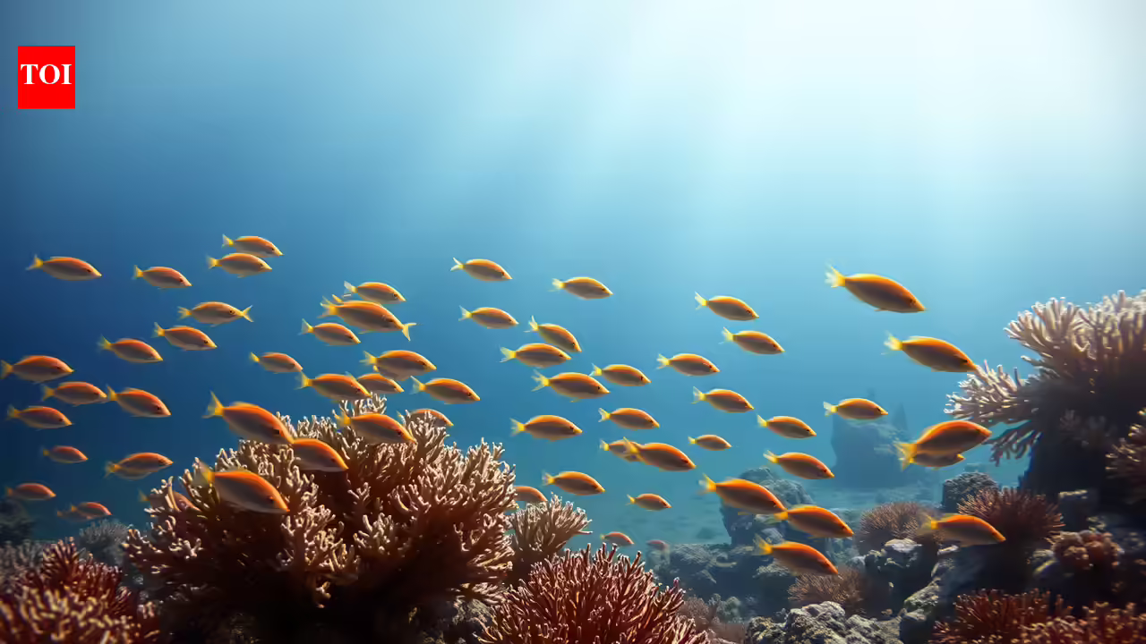 Ocean warming has been shrinking marine animals for 450 million years, huge examine reveals |