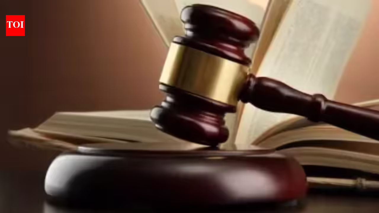 Separatist Anti-Nationwide Books: Jammu and Kashmir: Courtroom remands 3 arrested publishers in police custody | India Information