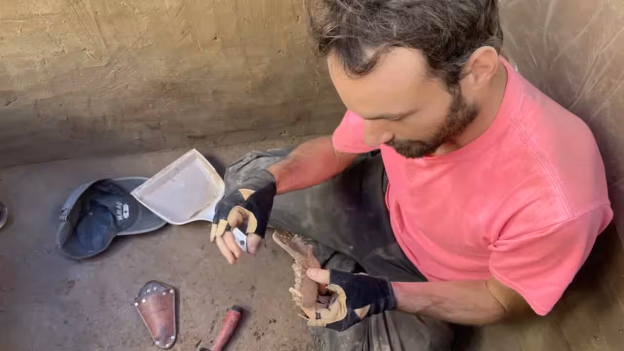 Alaska: Scientists discover that people and canine have such a pleasant relationship as a result of early ancestors fed salmon to canines 12,000 years in the past