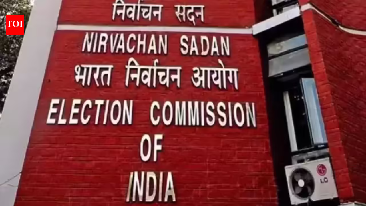 EC extends deadline for voter verification train in Andhra Pradesh, Haryana | India Information