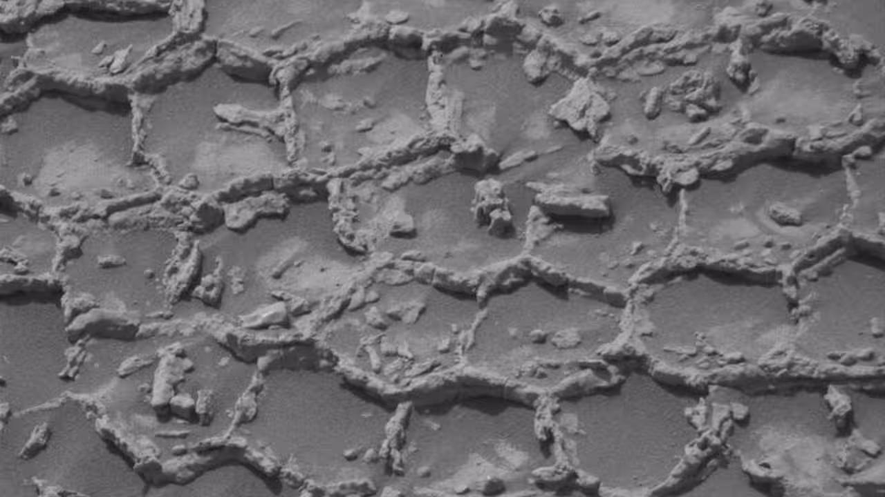 NASA’s curiosity rover spots mysterious honeycomb sample on Mars, leaving scientists puzzled over its origin
