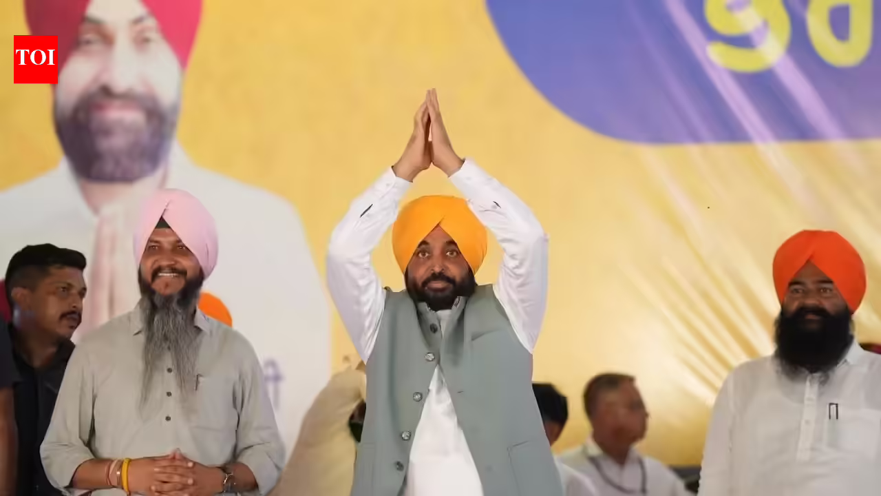 Punjab Congress divided as each chief needs to be CM: Mann | India Information