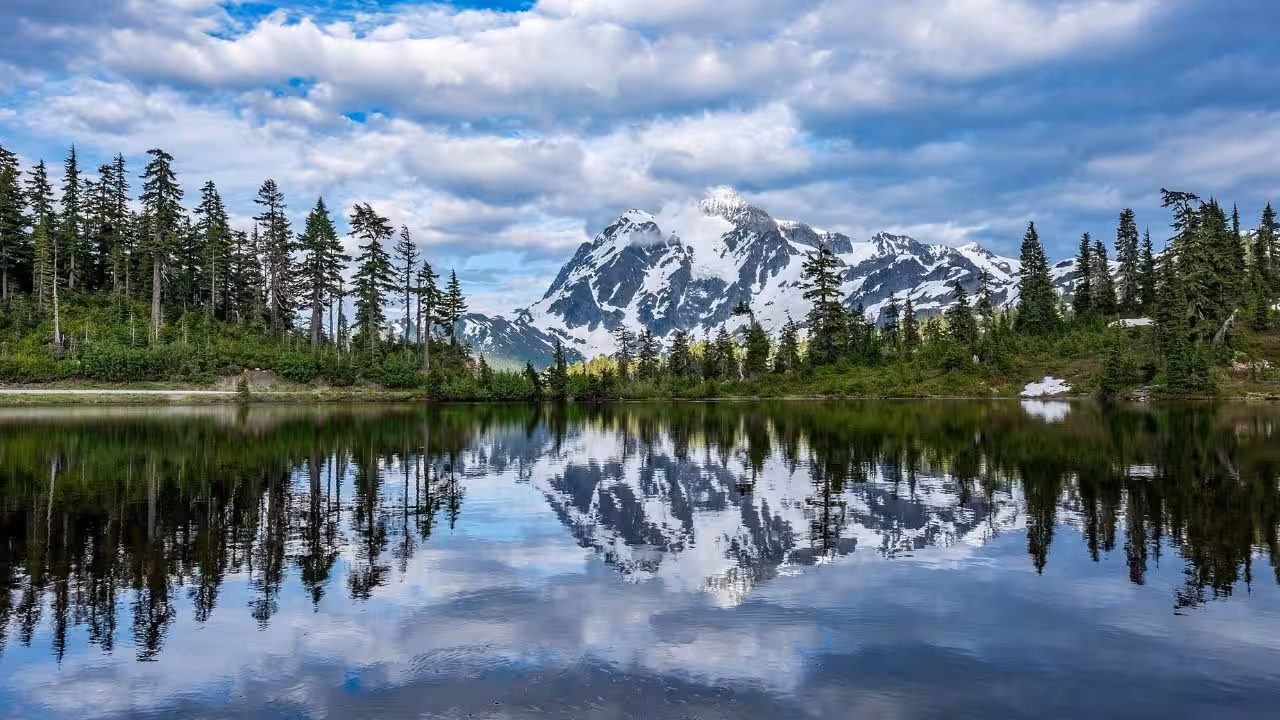 The right way to shield your self round harmful North American wild animals: Important security ideas to your nationwide park go to | World Information