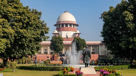 How can State stop elopement of boy and lady, says SC; flags POCSO misuse