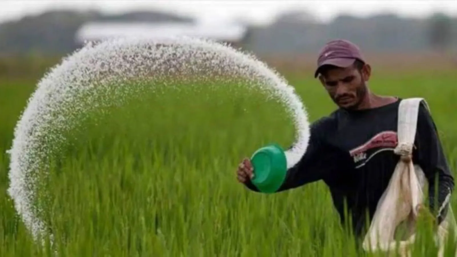Cupboard approves Nationwide Funding Coverage for Urea 2026: What adjustments below NIPU-2026